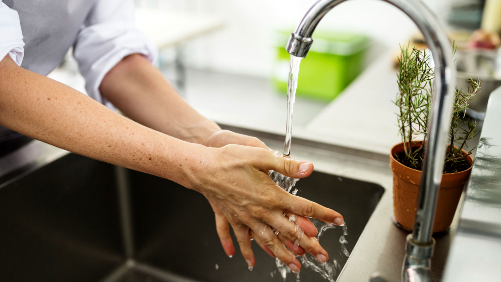 Food Service Operators – Personal Hygiene Tips 