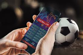 Comprehensive Guide to Betwinner Contacts