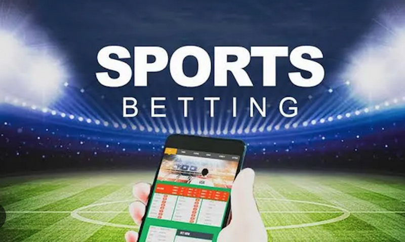 Tout savoir sur betwinner  Paris sportifs, jeux et plus encore